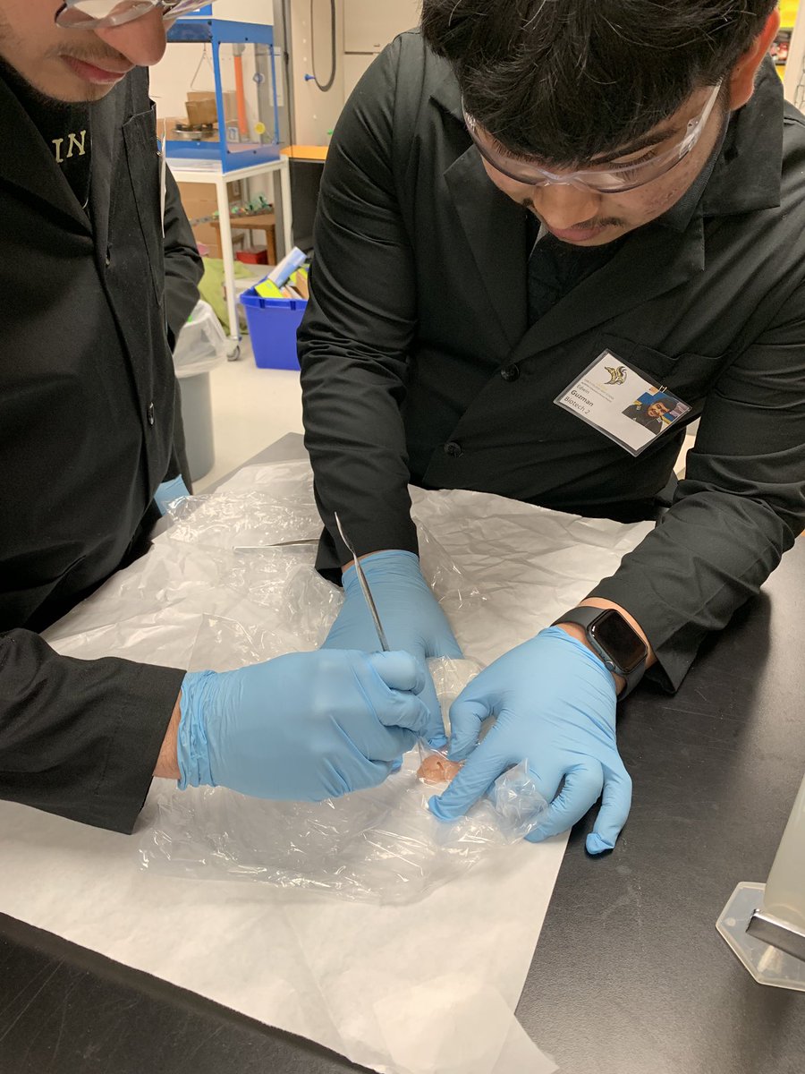 LanierBiotech's tweet photo. Fish protein lab! Biotech 2 is doing SDS-PAGE For the 1st time. thanks to @QSMarket for helping us with the fish tissue! https://t.co/EL2cd8V7CQ