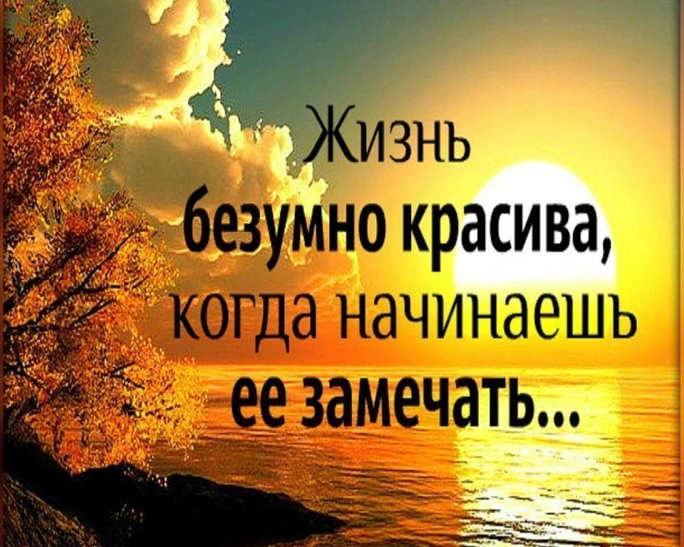 Автомобили смешные, картинки с умными фразами о жизни на утро