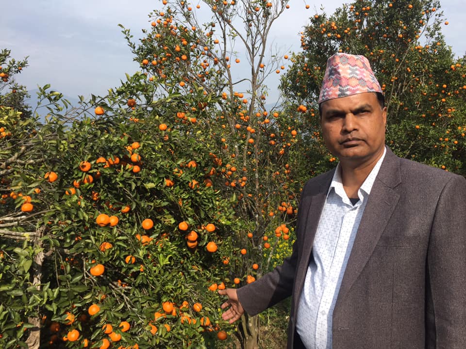 daomohadhading1's tweet photo. बेनीघाटरोराङ गाउँपालिका धादिङ https://t.co/upjOIkFkSF