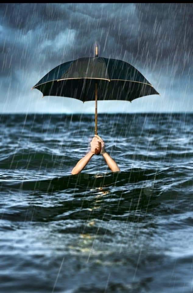 “الأحمق فقط هو من يختبر عمق الماء بكلتا قدميه“.

_ مثل أفريقي