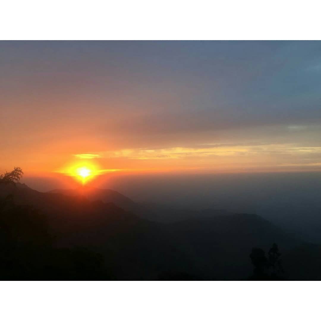 PrekshaSchettri's tweet photo. Too blessed to be stressed 🙏

#constantiasunrise #blissfulmornings #kurseong #tourism #constantiacottagehomestay https://t.co/t1VS1uQxlv
