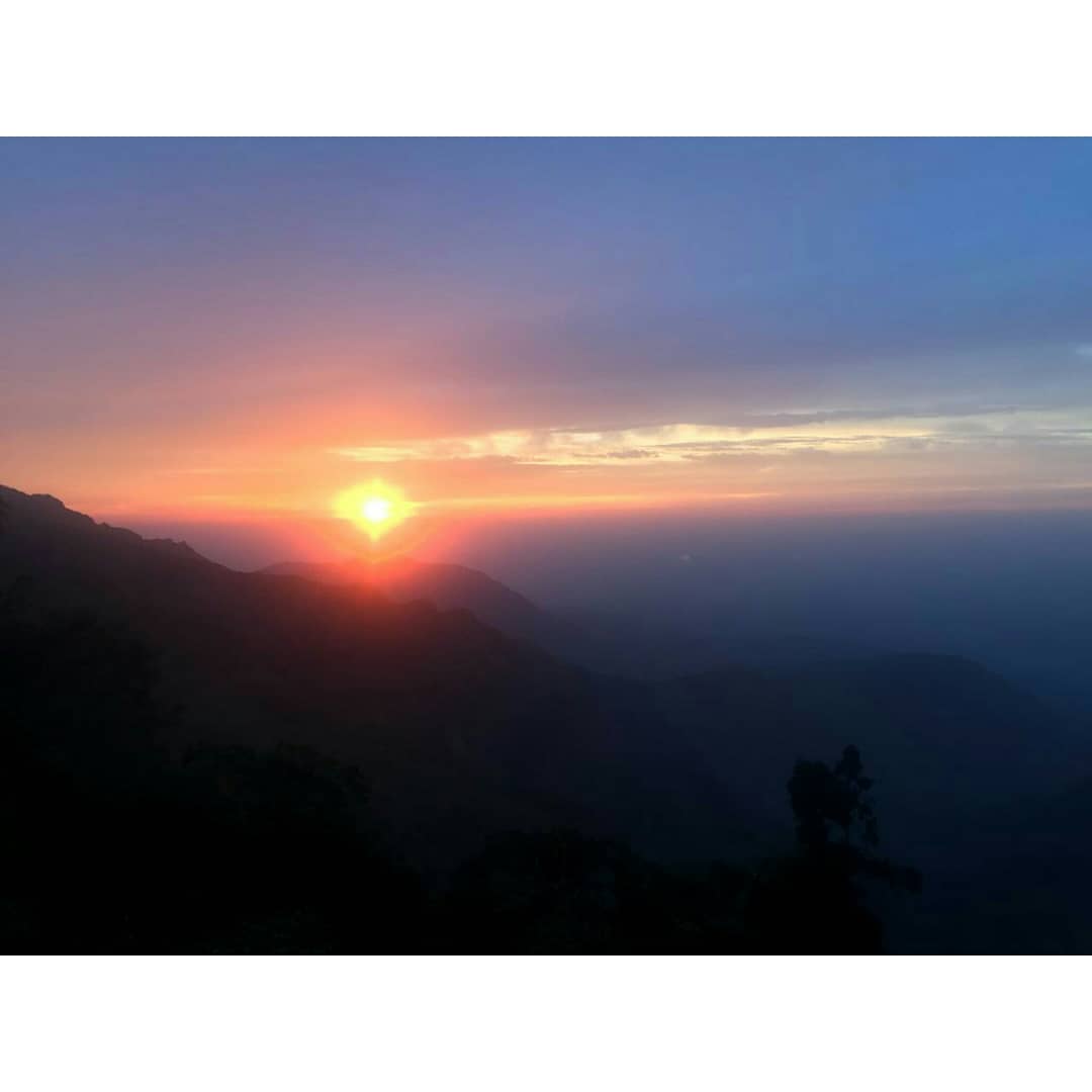 PrekshaSchettri's tweet photo. Too blessed to be stressed 🙏

#constantiasunrise #blissfulmornings #kurseong #tourism #constantiacottagehomestay https://t.co/t1VS1uQxlv