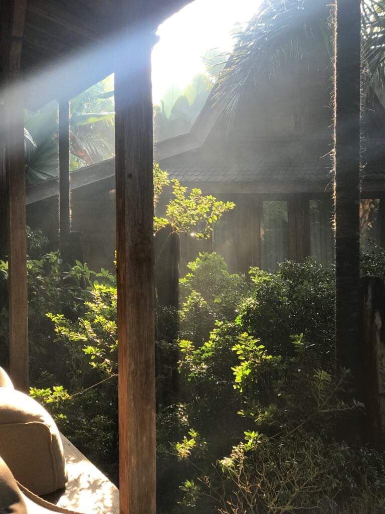 bluekarmasecret's tweet photo. Early morning , when the rain has given the shower to the garden ...blissful moment 🌺🙏
#bali #balivibes #baliisland #ubud #ubudbali #ubudlife #exploreubud #discoveryourplace #ubudresort #ubudhotel #balicili #balibible #baliguide https://t.co/TTjWktQih8