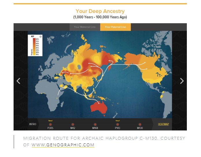 Haplogroup C-M130 is present in both West Africa and South America.C-M130 could have been more widely spread before the proliferation of E1b1a and E1b1b.  https://blog.nationalgeographic.org/2015/12/16/genographic-researchers-in-australia-uncover-unique-branches-of-the-human-family-tree/