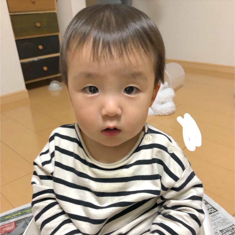 Ne10nen's tweet photo. 最近のわっくん。一歳すぎてからの可愛さがやばい🥰 https://t.co/z2m7MT7iXX