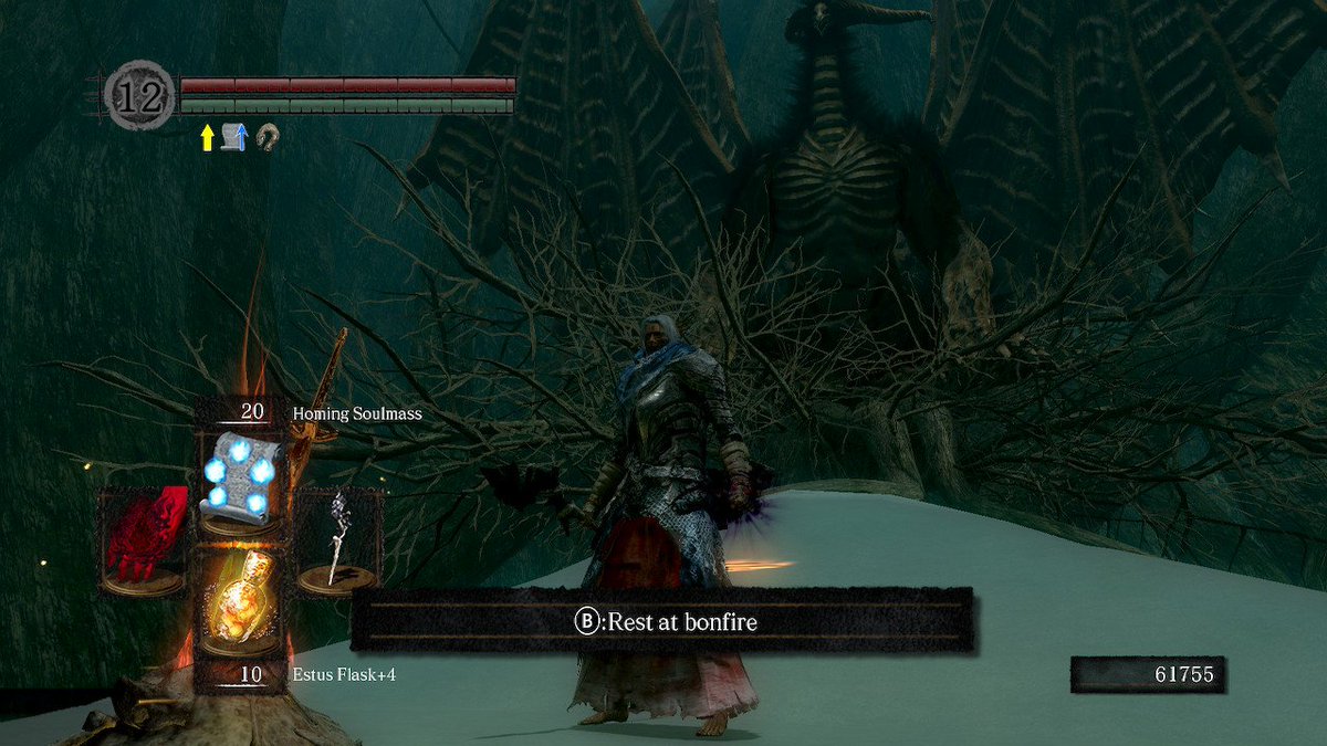 CoolNewcumber's tweet photo. #DarkSouls #DarkSoulsRemastered #NintendoSwitch https://t.co/JaO7cHBh66