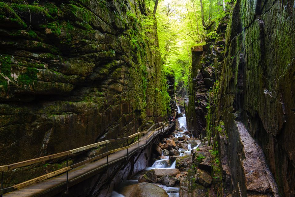 MustGoTravel's tweet photo. Tour Flume Gorge, New Hampshire's Most Excellent Natural Wonder https://t.co/sRhYXkwmfr #travelgoals #travelguide https://t.co/2kobkhpowl