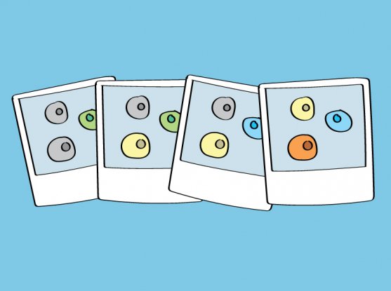 broadinstitute's tweet image. What can a math technique from the 18th century teach us about #developmentalbiology? Find out in this story &amp;amp; video: #oldmathnewtricks #optimaltransport broadinstitute.org/node/449611/