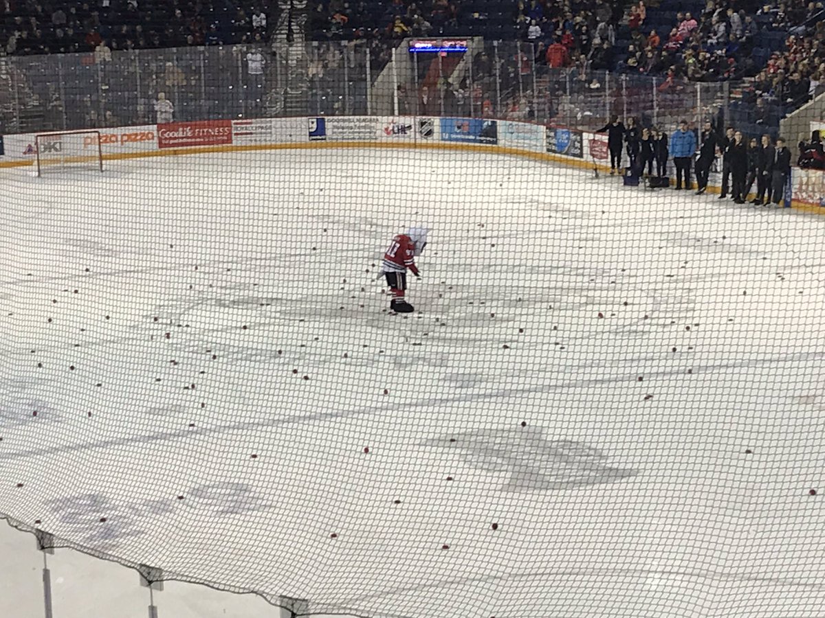 HotelDieuShaver's tweet photo. Heads up @Bones_911! Thank you to everyone who bought a puck tonight at the @OHLIceDogs game! 100% of your puck toss purchase will support patient care at HDS! #WeAreHDS #GoIceDogsGo https://t.co/O5Y4KCjqxt