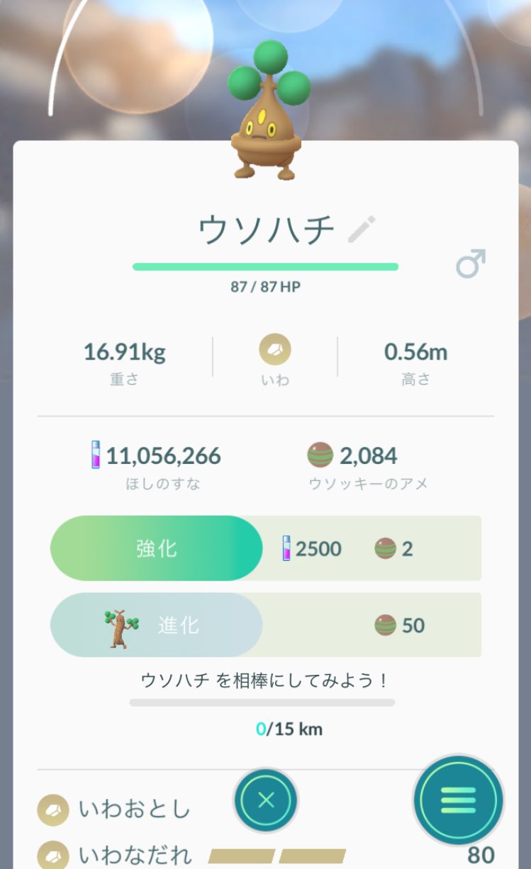 みるきぃ 7玉からウソハチ生まれてきた ウソッキーに進化させるために相棒15kmってとこにビビってしまったww 7玉は何が追加になってるのだ T Co Uh9uzk5aov Twitter