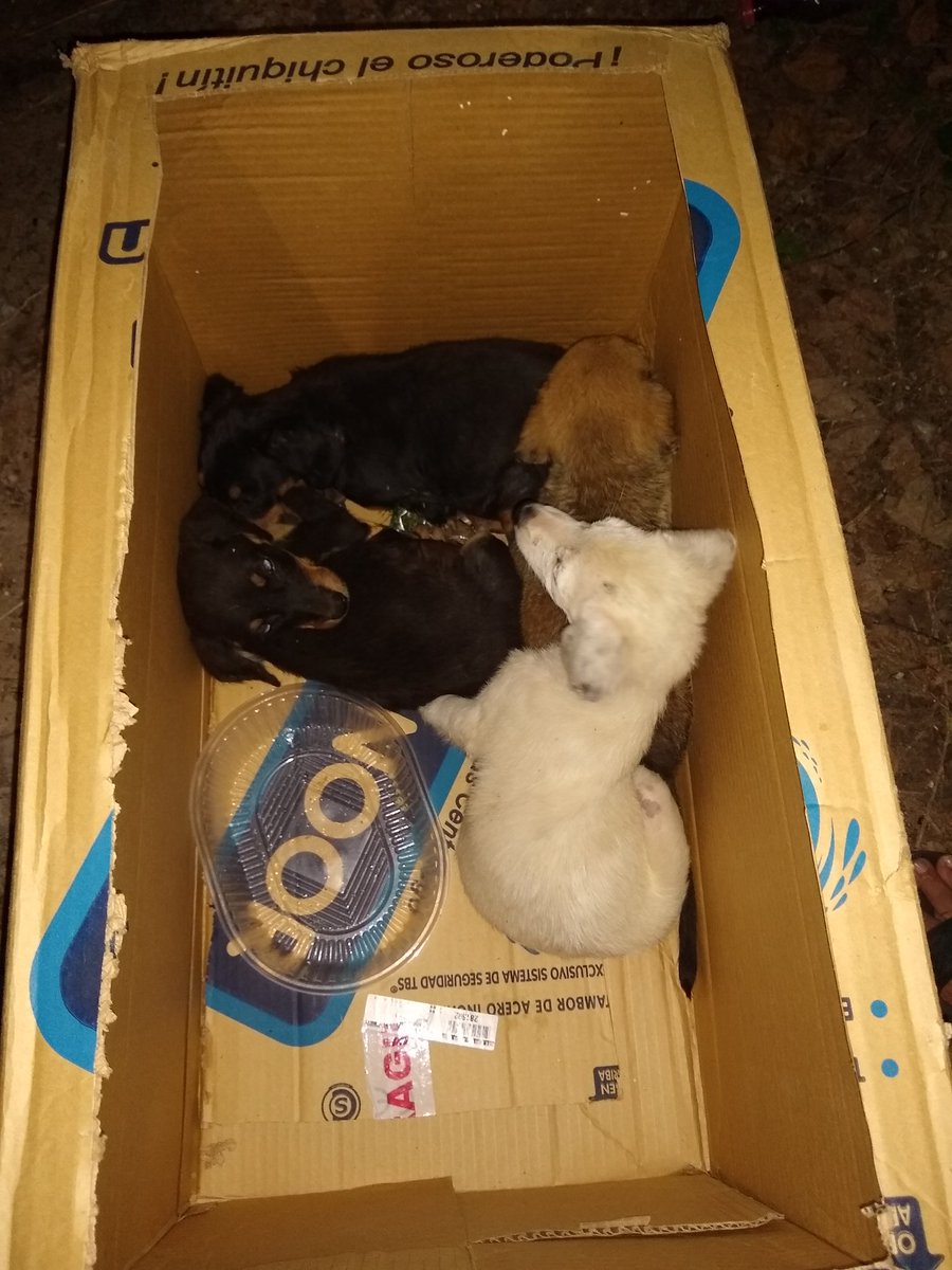 odalamuerte tweet media