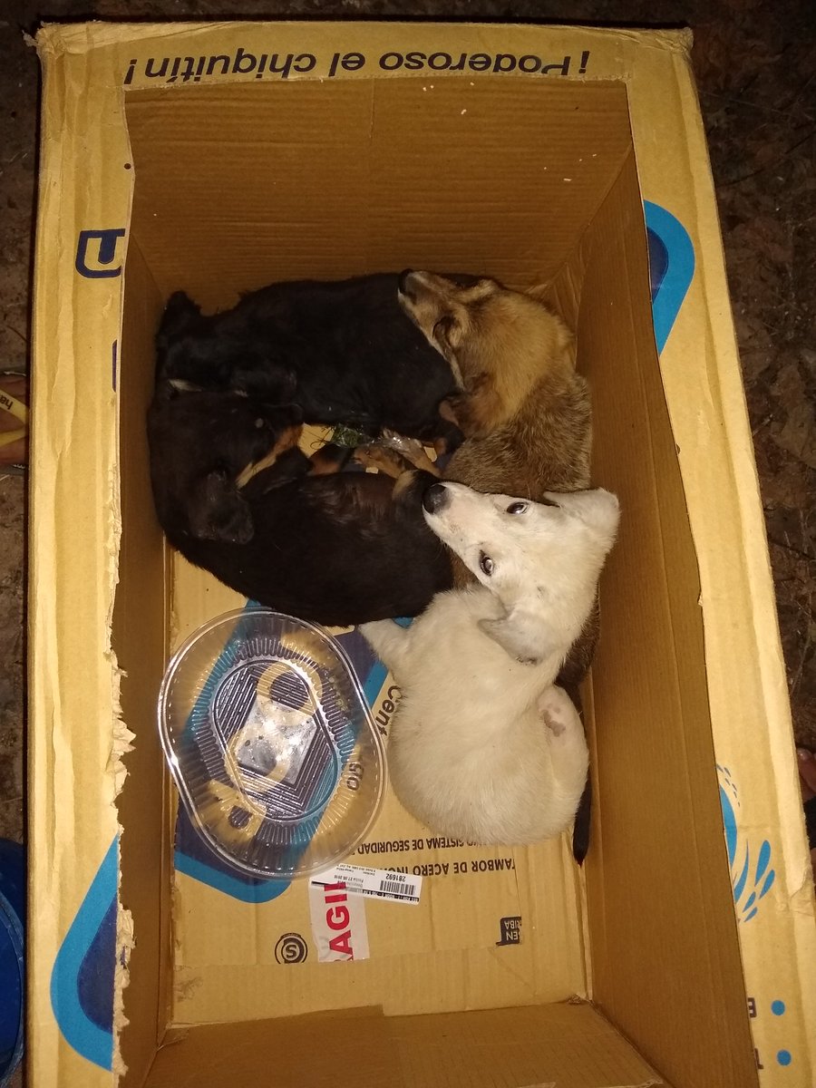 odalamuerte tweet media