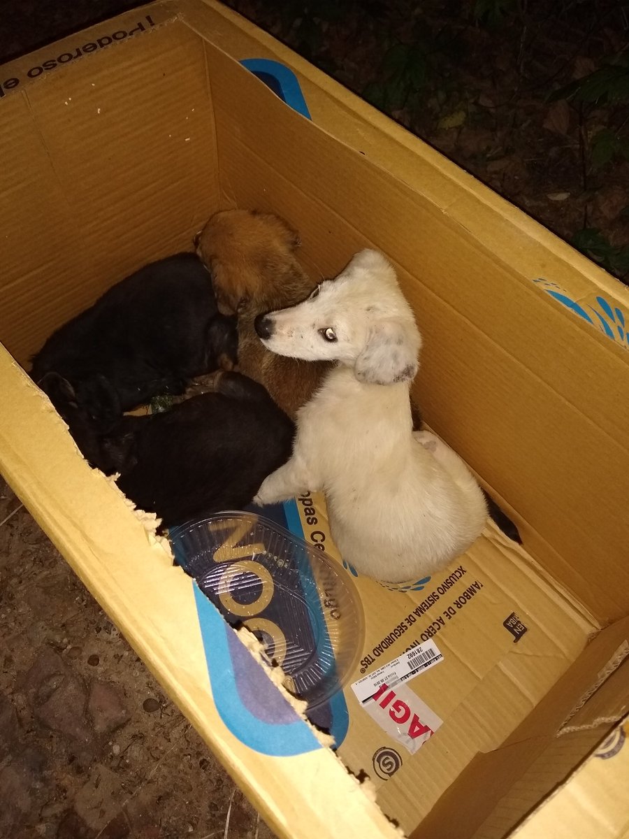 odalamuerte tweet media