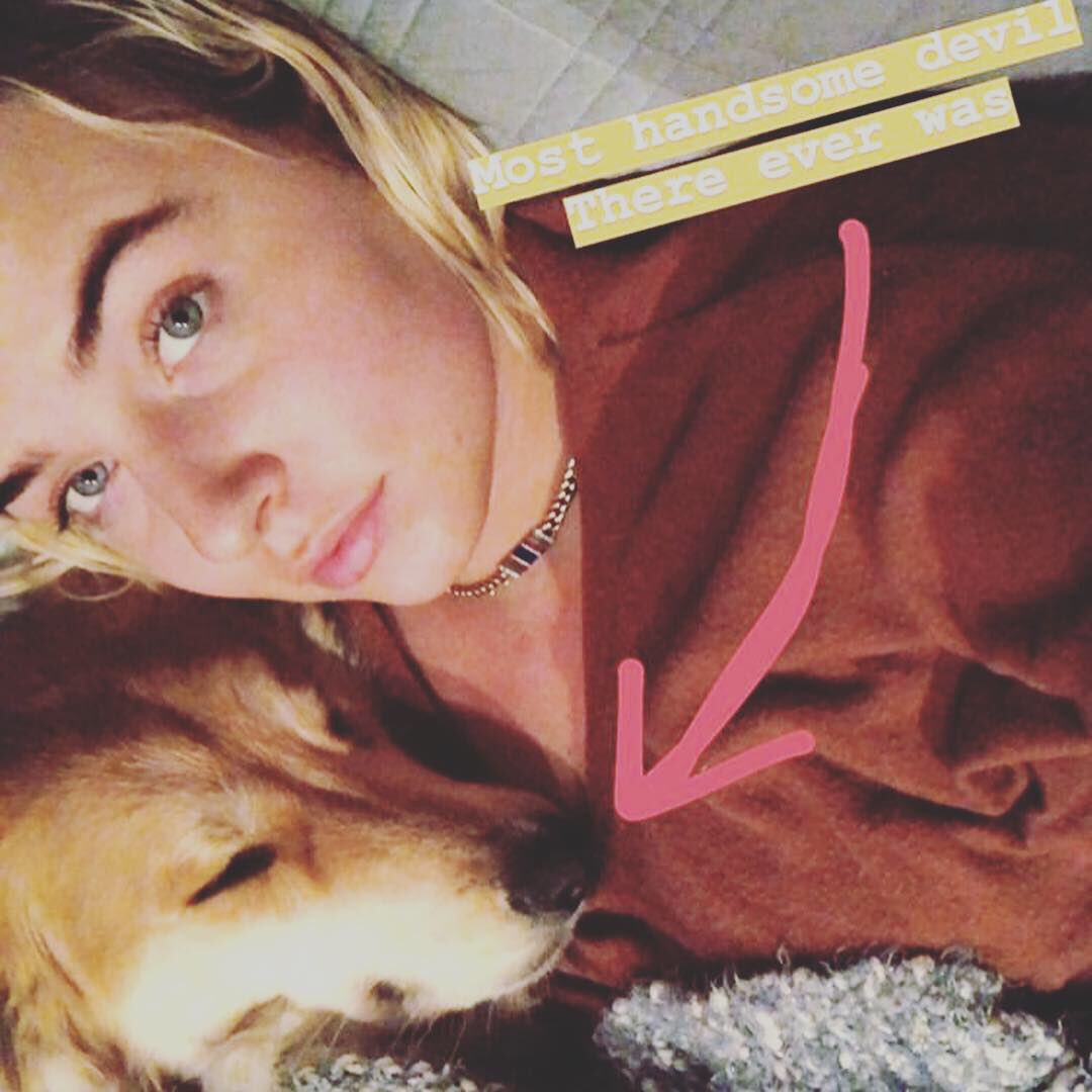 justformaty's tweet photo. @noyes via Instagram stories with handsome @atlyssthepup ๐๐ฅฐโค๏ธ๐๐ถ #matyupdates #newfriendsmvoutsoon https://t.co/v1kTnaiqK9