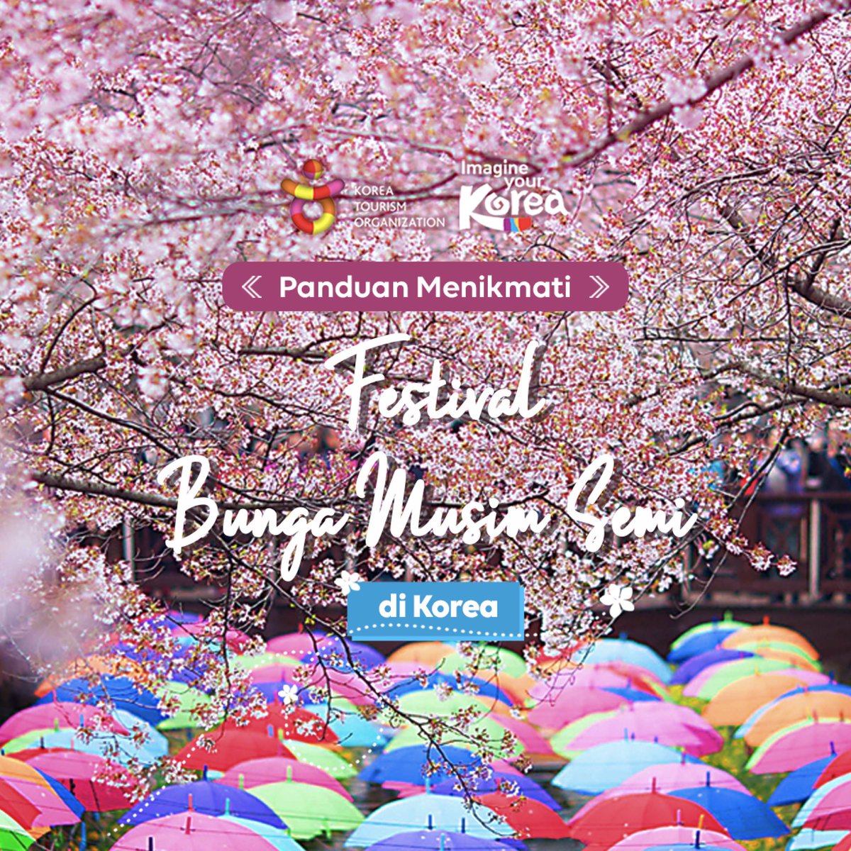 KTOJakarta's tweet photo. Mau tau informasi selengkapnya terkait festival bunga musim semi yang tersebar di Korea? Yuk, cari tau informasi selengkapnya yang bisa kamu baca di https://t.co/C16WGxT5lt https://t.co/d4YLPceZjn