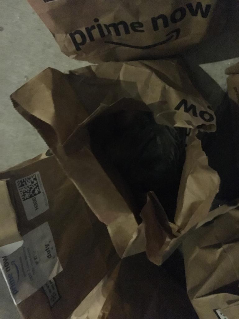 Jo_Ci's tweet photo. Amazon’s new delivery method. Leave bags on the street of NYC to be taken, riffled through and subjected to sub zero temps. I was actually home... if they’d bothered to deliver. Last week’s order didn’t even arrive. @amazonprimenow https://t.co/6zJHq36gOW