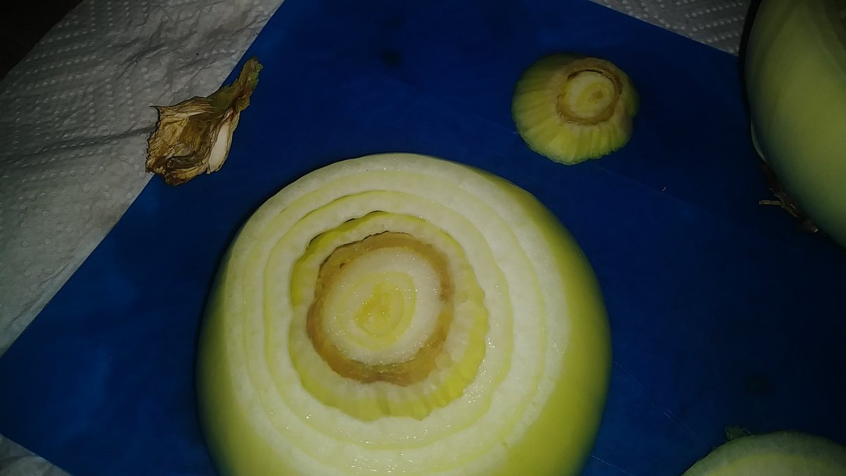 DonovanPresents's tweet image. I went to cut into this sweet yellow onion and this brown ring went throughout the bulb. I just bought it earlier today @WinCoFoods . Is this bad and should I report this to somewhere? #OnionProblems