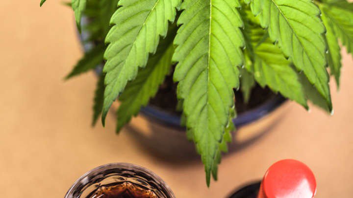CeruleanDevils's tweet photo. Spoilers… it's booze. 

Weed Or Booze? Scientists Finally Settle Which Is Worse For Your Brain https://t.co/B5eQgWDpjY https://t.co/vZeSgqwr2C