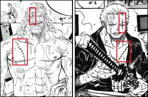 Log ワンピース考察 Auf Twitter ワンピース ゾロとレイリーの共通点まとめ 目と胸の傷跡 海賊になった経緯は 麦わらの 男 との出会い 1番目に出会った船長の右腕 剣士 この共通点は何を表す T Co Ht4gnal6ul