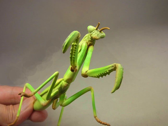 タカラトミーアーツ ガチャ企画部 新作先出し情報 もうすぐ春がきて 夏が近づいたら 昆虫の森g 今年はオオカマキリに加え あの昆虫も新登場 全5種 1回0円で5月発売予定です 画像は製作途中のものです 昆虫 カブト クワガタ