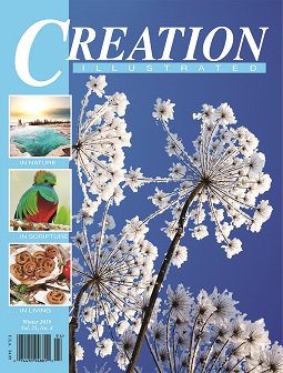 CreationMag tweet picture