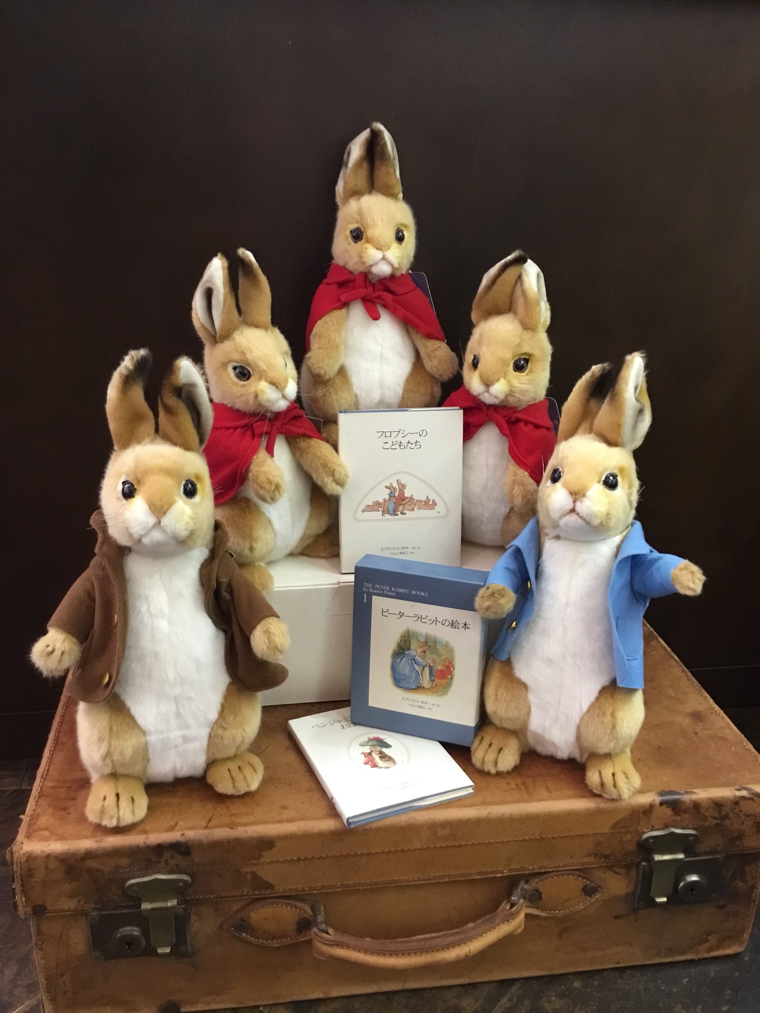 HANSA ピーターラビット コラボ モプシー MOPSY ぬいぐるみ ハンサ 楽天市場】HANSA ピーターラビット コラボ BH7661 モプシー 28cm