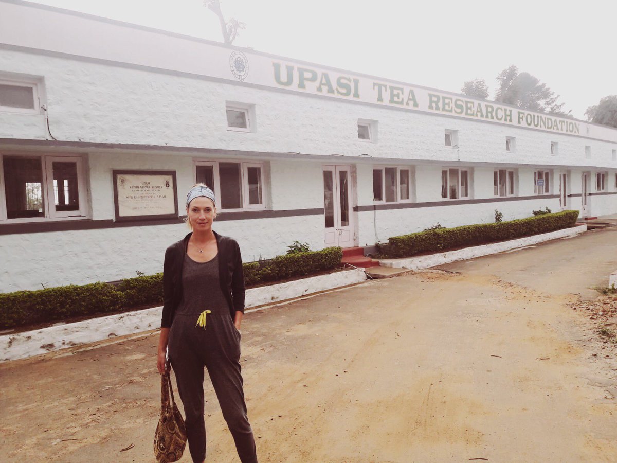 Islaytweets's tweet photo. Interesting meeting today at UPASI ... still surprising people that tea can grow in Scotland! 

#upasi #coonoor #tearesearch #teajourneys #teatrails #drinkbettertea #nilgiritea #highgrowntea #organicgrowing #growingtips #india https://t.co/QGc2r6aPU4