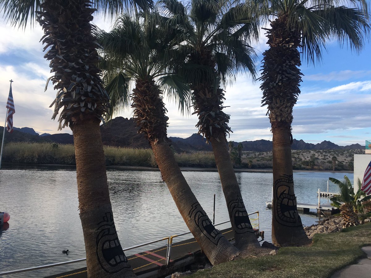 HavasuRV173's tweet photo. A nice #happyhour at #Foxes on the #ColoradoRiver on a pleasant sunny 27โC afternoon #greenisbetterthanwhite #notcoldhere https://t.co/JEWLEqBDBK