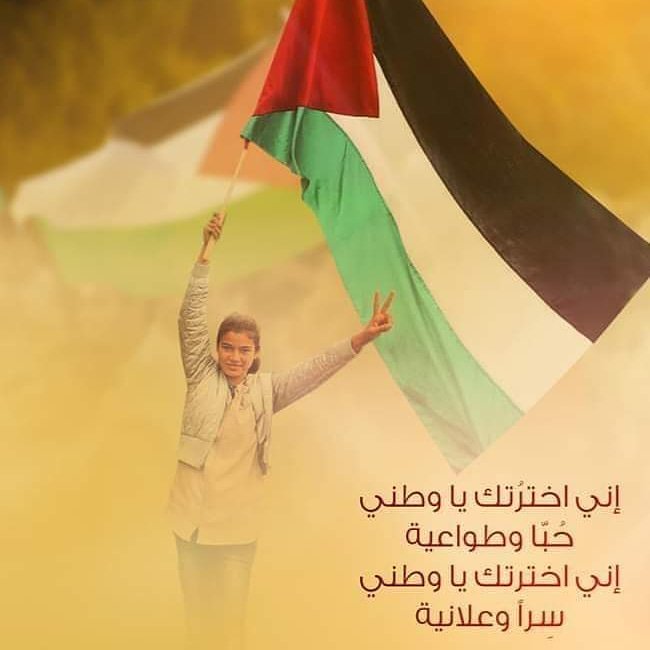 MohammadAbusafe's tweet photo. https://t.co/r3srBIciIc