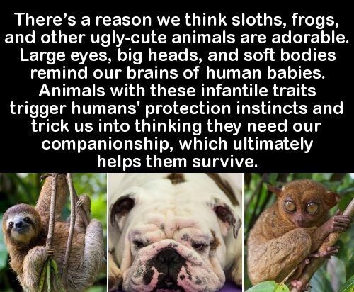 AmazingFacts03's tweet photo. https://t.co/UArpOkcXEo