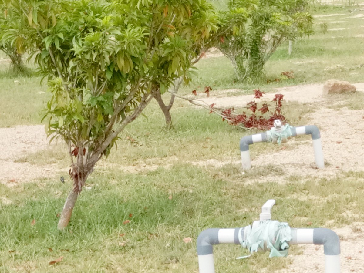 Phoenixdevelop3's tweet image. #Budjet2019 #Ac #Farms #Farmershttps://www.facebook.com/marketplace/item/2170341049679083/