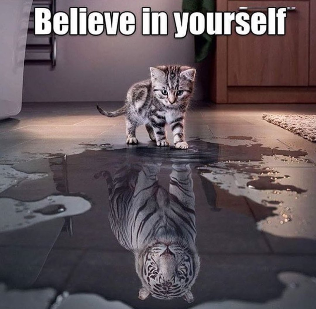 MyCorpCollect's tweet image. Your Success Is Based On Your Level of Self Belief ow.ly/WdRU30nsIxu