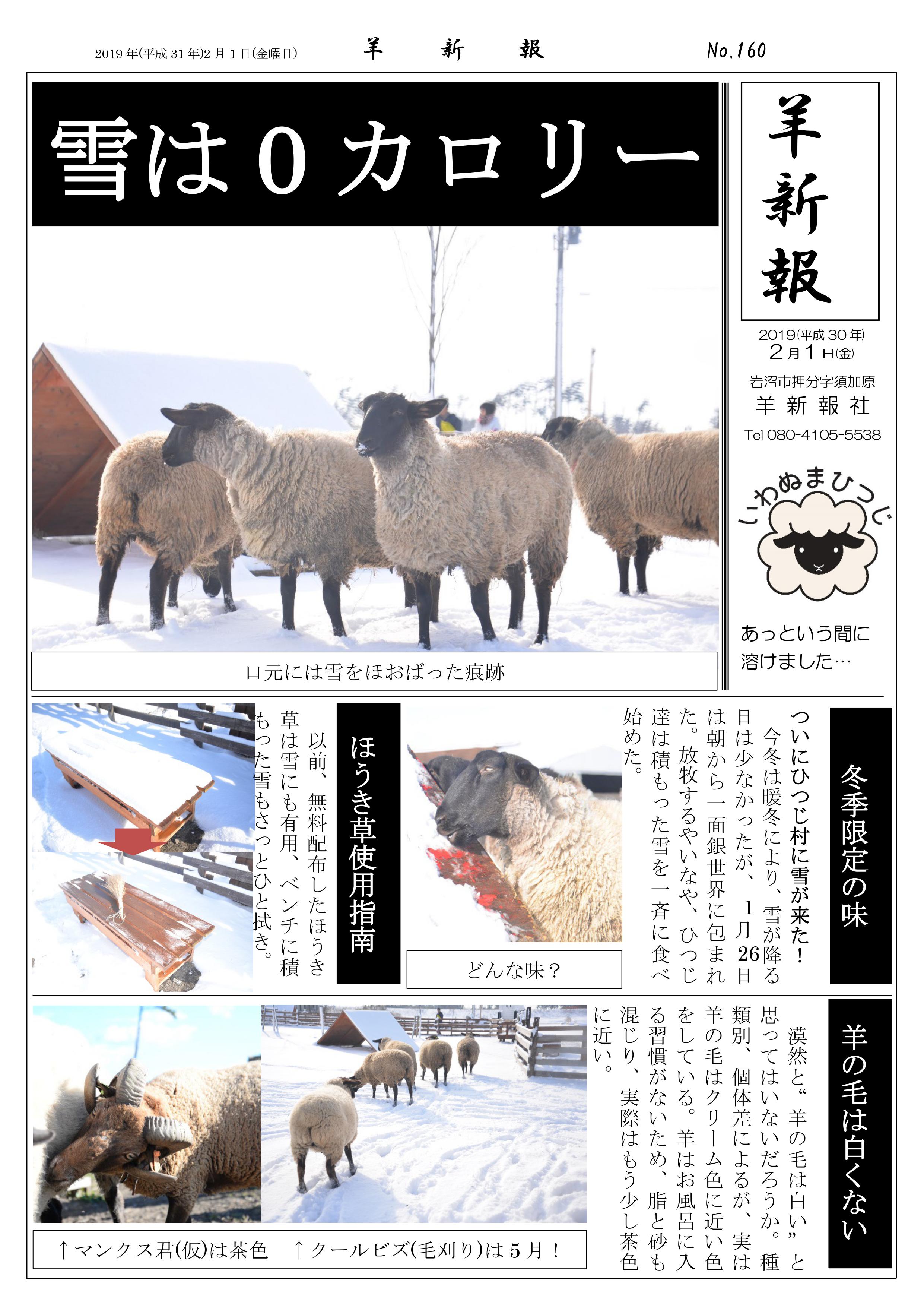 Uzivatel 岩沼の羊飼い Na Twitteru こんにちは あっという間にもう2月ですね さて 今週の羊新報です 岩沼も雪が降りましたが すぐに溶けてしまいました 笑 ひつじ 羊 ヒツジ 岩沼ひつじ いわぬまひつじ村 牧場 サフォーク 無料 宮城県 岩沼市 羊