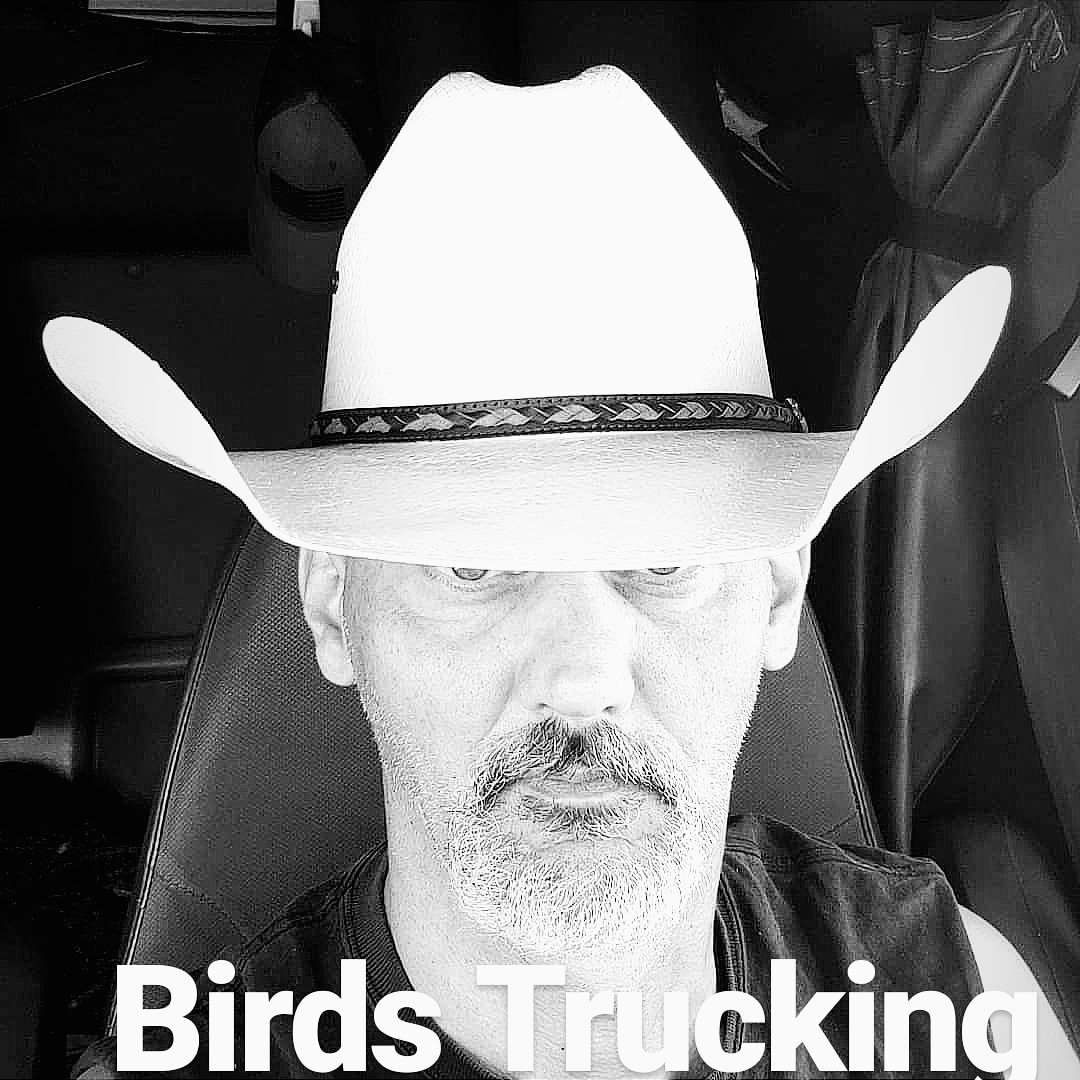 birdstrucking's tweet photo. https://t.co/OuxQY67f0z