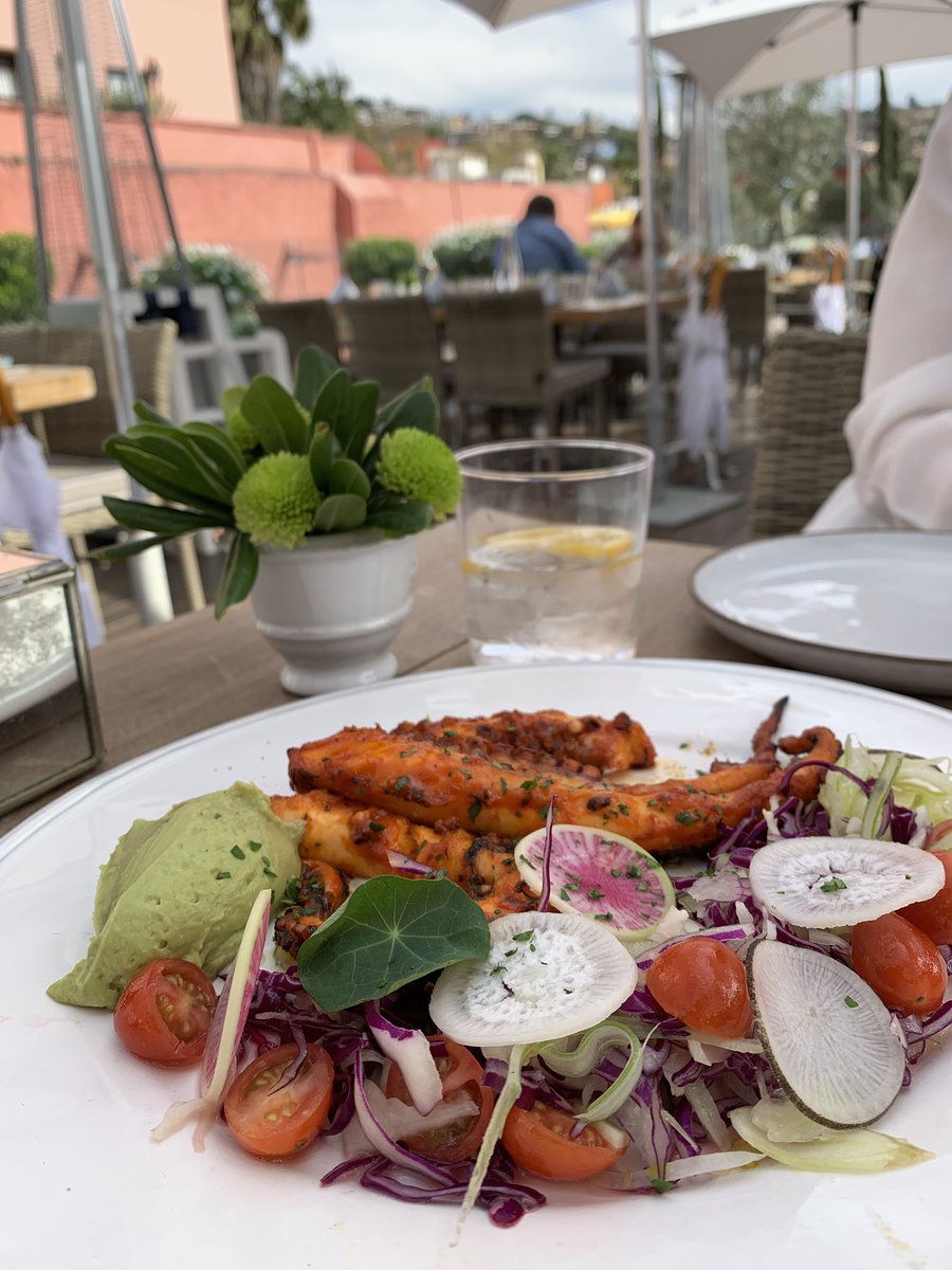 VinedosMex's tweet photo. Un paseo por @turismo_sma para después comer en @QuinceRooftop 😍 https://t.co/xB8qUh1zD2