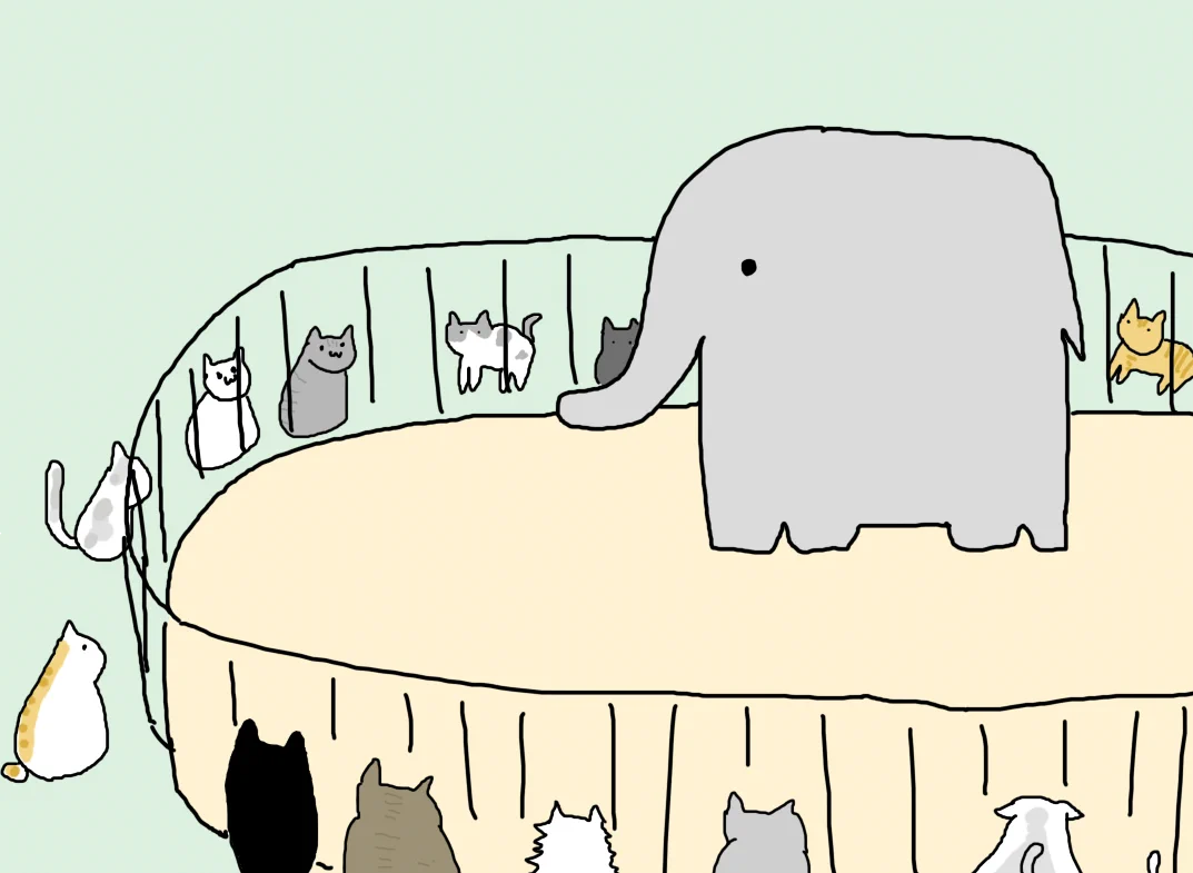 ゆるカワな世界wゾウから見た動物園ってこんな感じ？