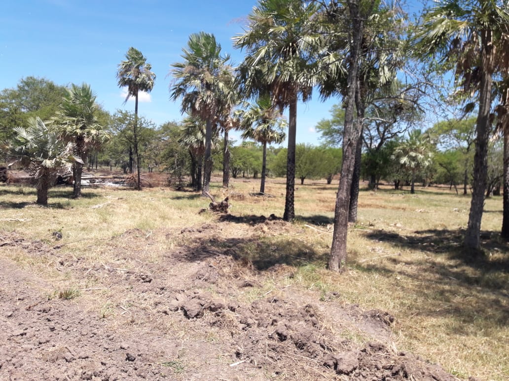 ColmanSusy's tweet image. LES ESPERAMOS A  TODOS !!!!!
Ya estan habilitadas las venta de  los terrenos  en falcon; haga su mejor inversion...
contacte al 
0984677602 o al 0971 257215.