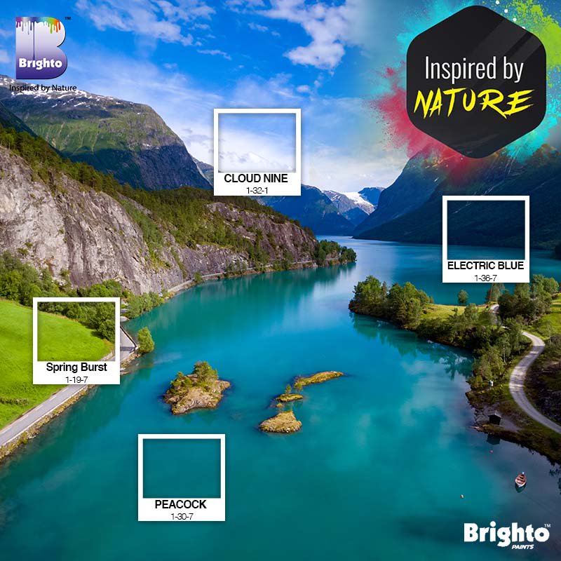 BrightoPaintsPK's tweet image. Hey! Hey! Hey! Time to fantasize your real life with dreamy palettes. Brighto presents you another gleamy palette to transform your office space into an advanced building.
#BrightoPaints #InspiredbyNature #ColorSelection #BrightoAllColor #CareFreeWithStainFree #StainFree
