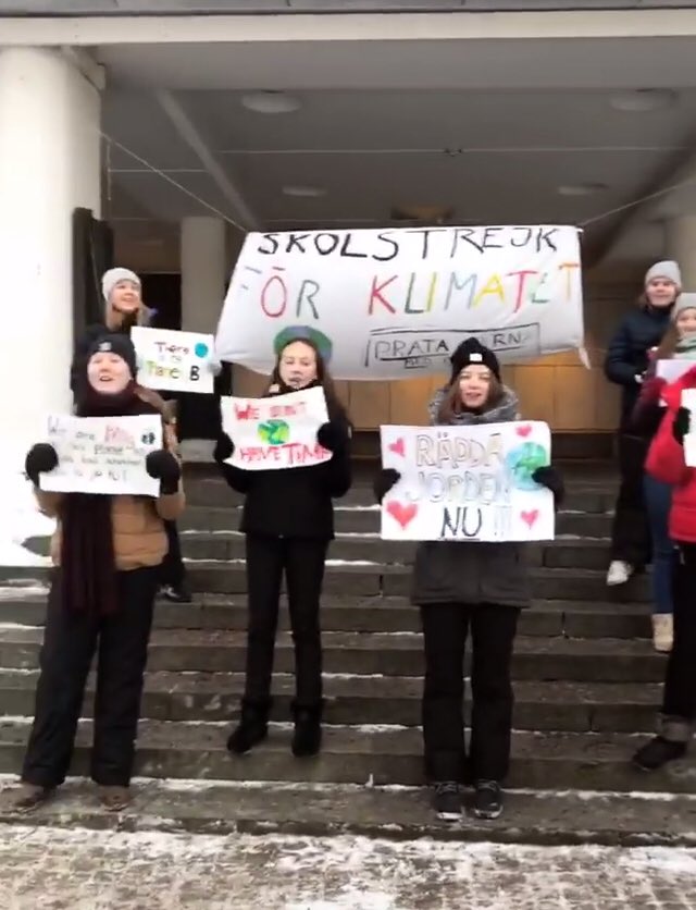 flennegard's tweet image. Dessa gör dig sällskap i Nyköping idag! #Fridays4Future 🌍💚