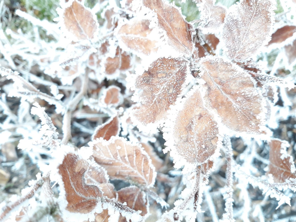 TheEdTechExpert's tweet image. #snowidea use computer art programme to manipulate an image to be more/ less wintry