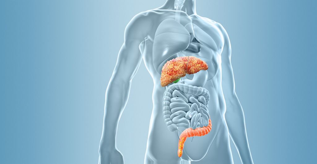 The EU-funded @MicrobPredict is launched! Microbiome experts like EMBL's @Borklab join forces with technology leaders, clinical specialists and patient organisations to understand how the human microbiome contributes to the development of liver disease: bit.ly/2sVnHOV