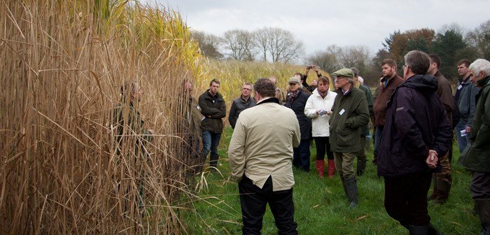 Future-proof your farm with Miscanthus
-Hardy perennial with avg. return £562/ha over 15yrs
-Long term contracts available
-Environmental benefits incl. wildlife &amp; low inputs
-Profitable on marginal land
#BritishAgri <a href="/BritishArable/">British Arable</a> 
ow.ly/gzvB30nwvg4