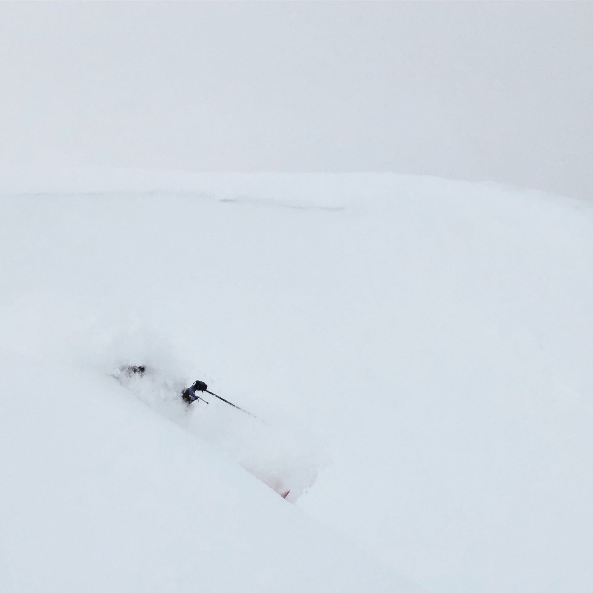 KLINTskis's tweet photo. Happy customer skiing the Krypto in powder for the first time 🤩
Webshop: https://t.co/UBxBqSvXS1
@KLINTskis
#KLINTskis
#KlintKrypto https://t.co/r1ja4LnmDr