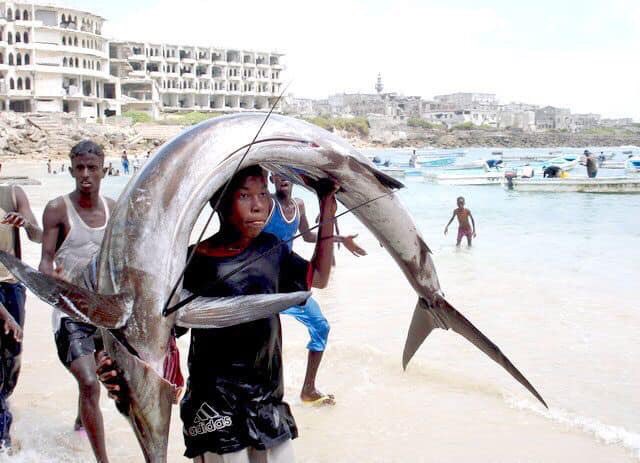 mhirmoge's tweet photo. This is what daily life in #Mogadishu is about. Grit, resilience, hard work, organic. And why not? See this, Somalia; Longest coastline in mainland Africa, over 400 different species of fish. I’ll mention camel/livestock, agriculture another day. https://t.co/J7CGSVJIIk