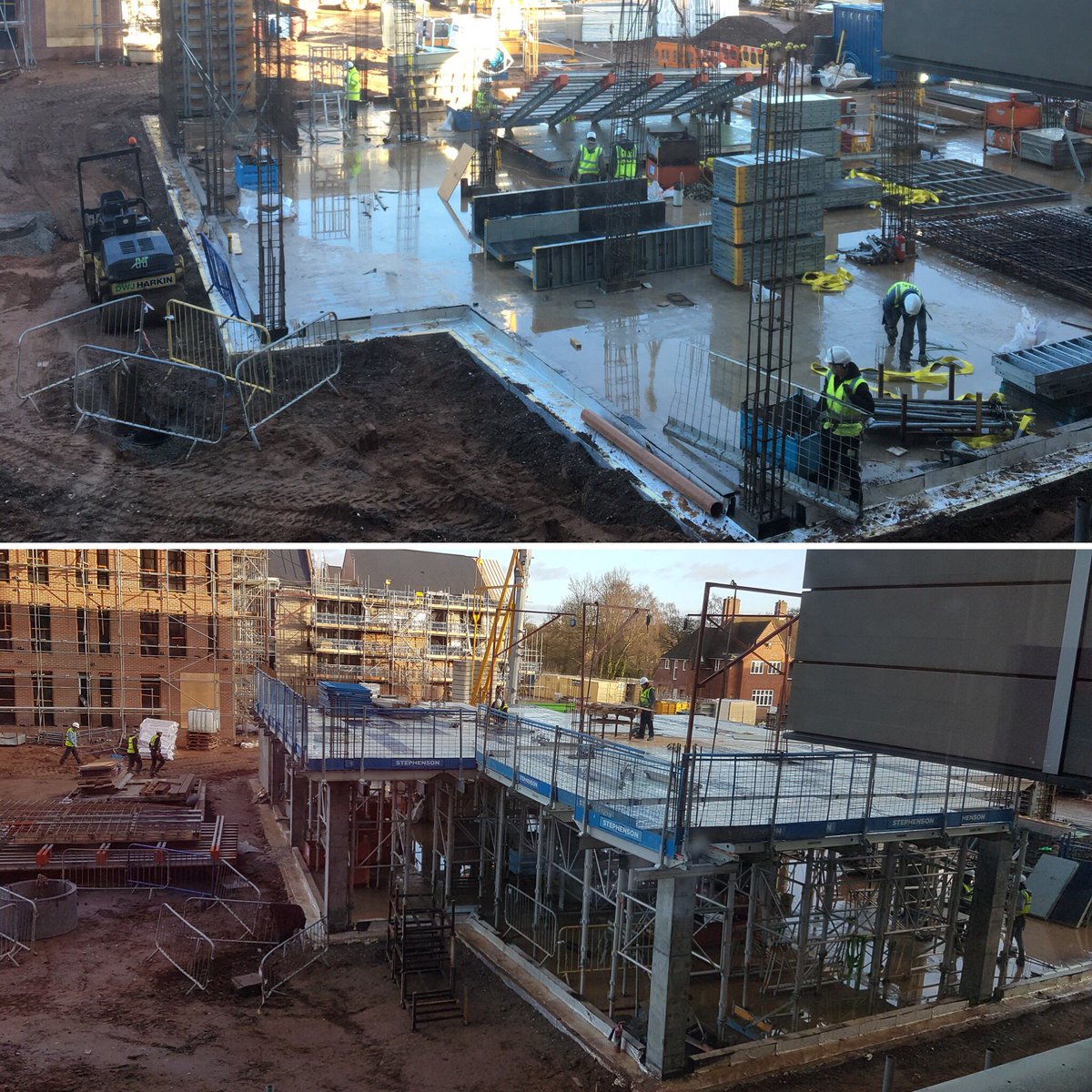 The Centre for Human Brain Health tweet media