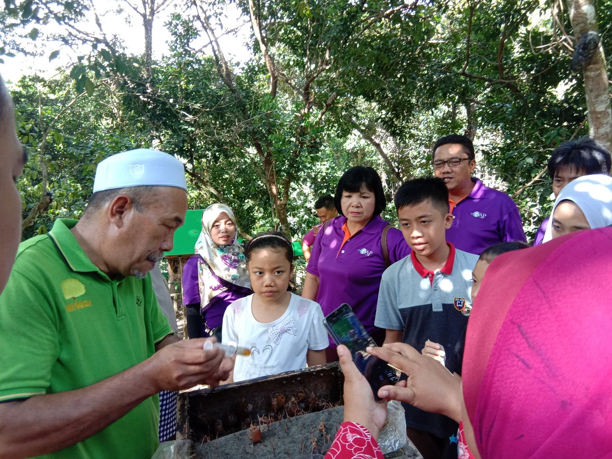 DoaLabuan's tweet photo. Lawatan Kakitangan Jabatan Pertanian Ranau ke Projek Ternakan Kelulut Kg. Layang-Layang, Labuan.
@moaMalaysia 
@MyDSA_official 
@myDOA_HQ 
@JHarizan 
@DoaLabuan 
@MJurijh https://t.co/GjztZHo9Ww
