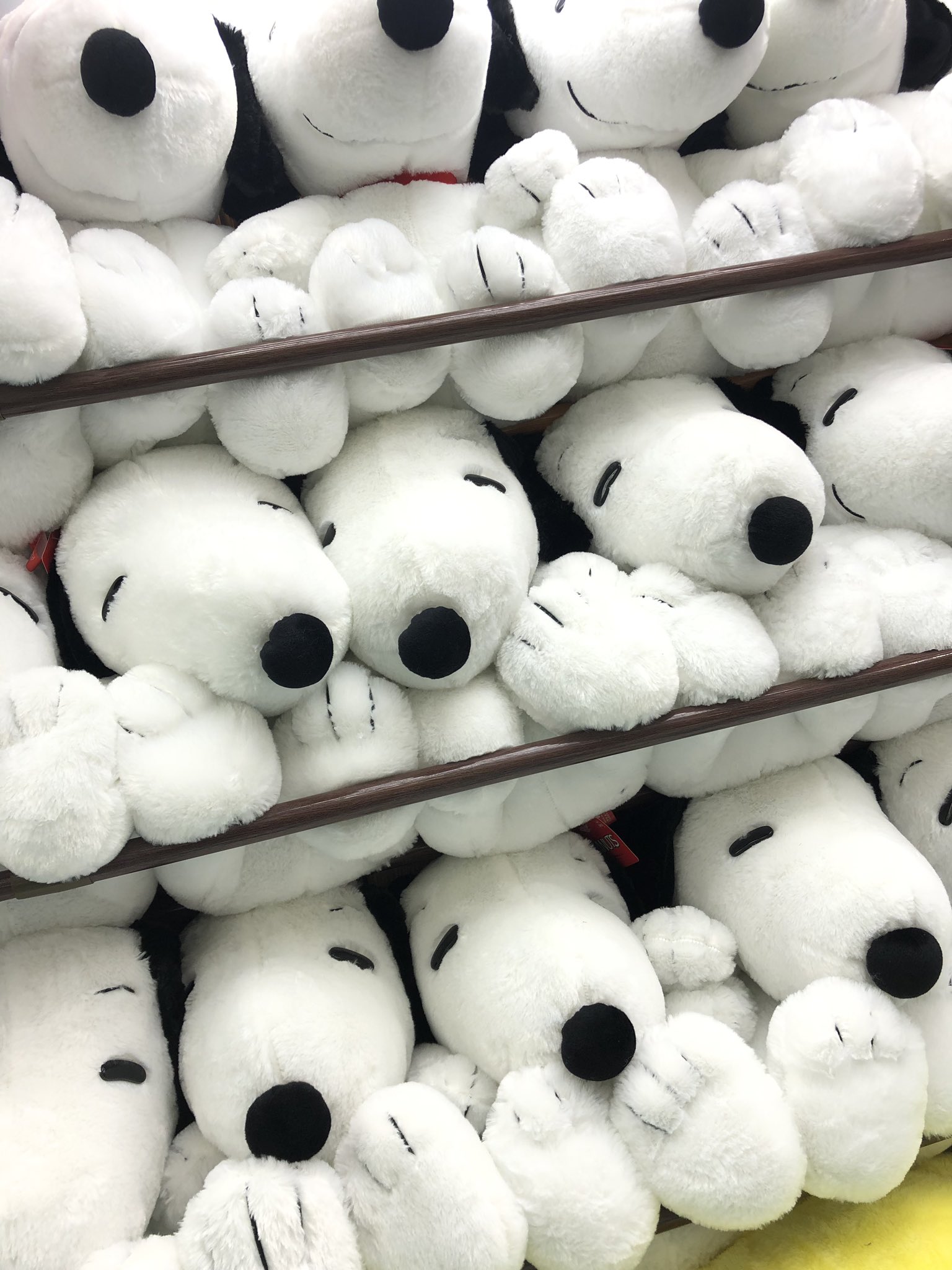 タイステ立川北口 24時まで営業中 2f プライズ 新景品 Snoopyギガジャンボ ふわふわぬいぐるみ 全1種 新しいスヌーピーのぬいぐるみが登場 こちらのスヌーピーは タイトー店舗限定 のぬいぐるみです 大きくてふわふわ 可愛い