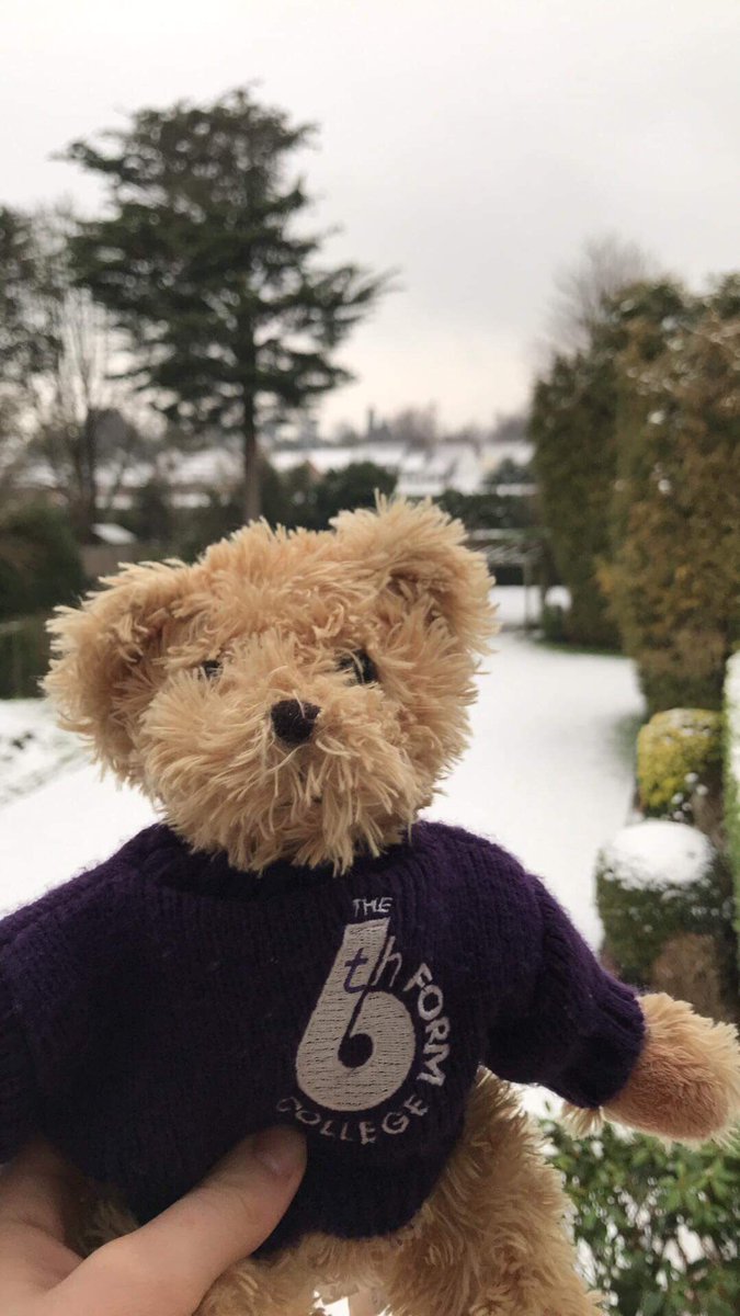 farnboroughsa's tweet photo. Hope you all are having as much fun in the snow as FarnBear is. 🐻🐻#whereisthebear 

 Everyone make sure you are staying safe in the slippery conditions.❄️❄️

 From your SA💞💞 https://t.co/yia0bLshTp