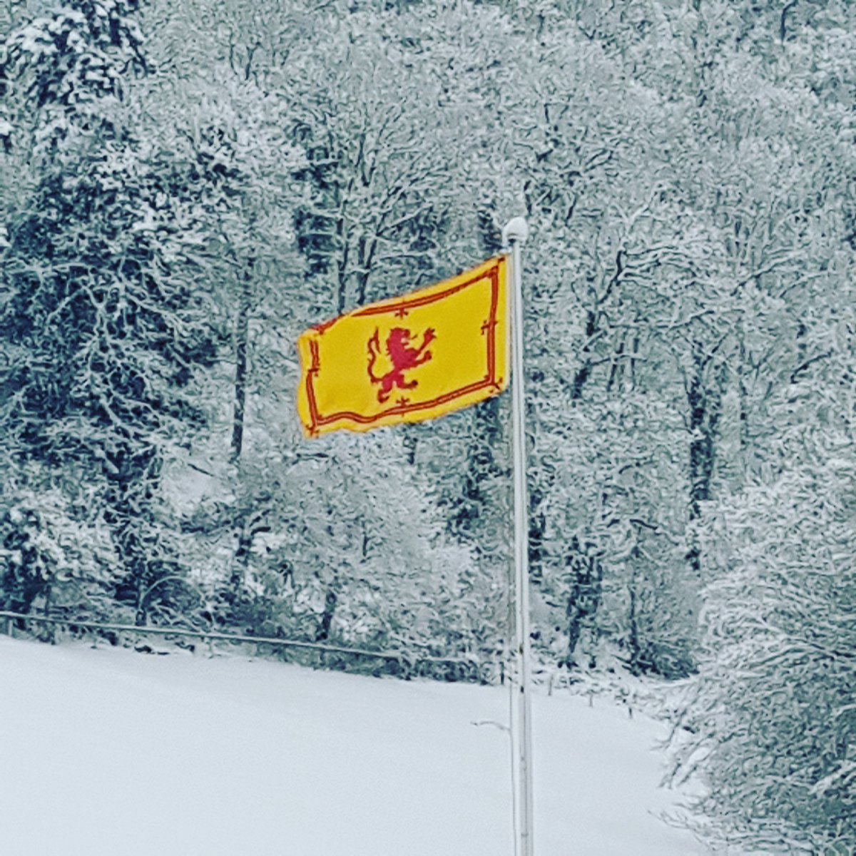 ExmoorBunkbarn's tweet photo. #Somerset flag this morning #Exmoor #independenthostelguideuk #snowday https://t.co/8kJ8kl3MZV