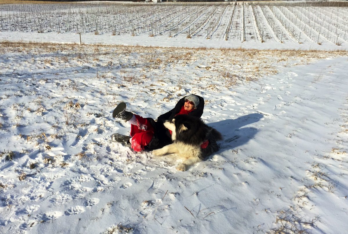 Kickin’ off #WearRedDay in #JohnstonVineyards !! #GoRedforWomen <a href="/DrMarthaGulati/">Dr. Martha Gulati ♥️🫀❤️‍🩹🇨🇦</a> <a href="/drbrowncares/">Sherry-Ann Brown, MD, PhD, FACC, FAHA</a> <a href="/purviparwani/">Dr. Purvi Parwani</a> <a href="/iamritu/">Ritu Thamman MD</a> <a href="/HeartSisters/">Carolyn Thomas ☮️</a> <a href="/HeartOTXHeartMD/">John P Erwin III MD MBA MACC (#BigPoppy )</a> <a href="/cfd1986/">Cristina D.</a> <a href="/HeartandStroke/">Heart & Stroke</a> @CPhasHeart <a href="/hvanspall/">Harriette Van Spall, MD MPH 🇨🇦</a> @NanditaScott <a href="/DrSheilaSahni/">Dr. Sheila Sahni</a> <a href="/AnastasiaSMihai/">Dr Anastasia Mihailidou FAHA FCSANZ FESC</a> <a href="/ErinMichos/">Erin D. Michos, M.D.</a> <a href="/CWHHC/">Canadian Women's Heart Health Centre</a> <a href="/thaiscoutinhoCV/">Thais Coutinho</a>